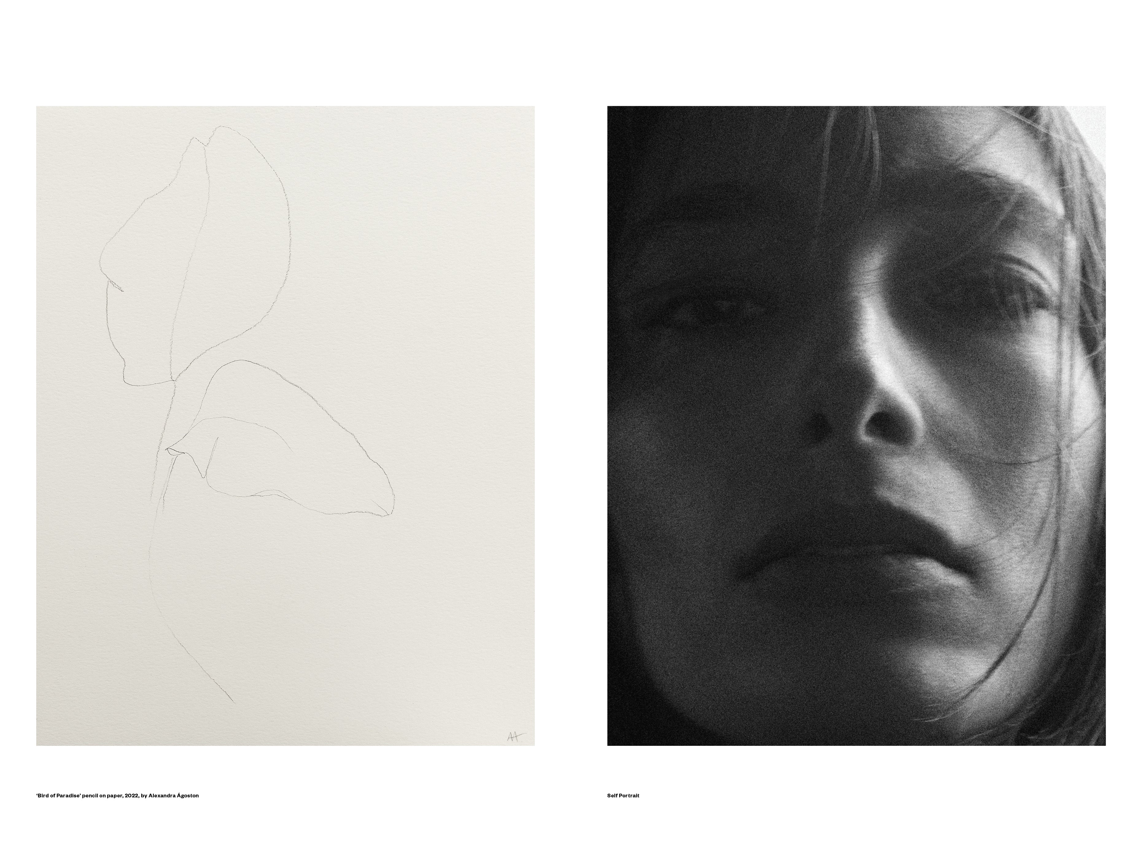 RIKA STUDIOS PAPER EDITION NO.12 1